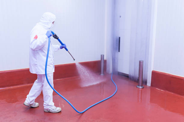 Concrete Sealing in Ripley, TN